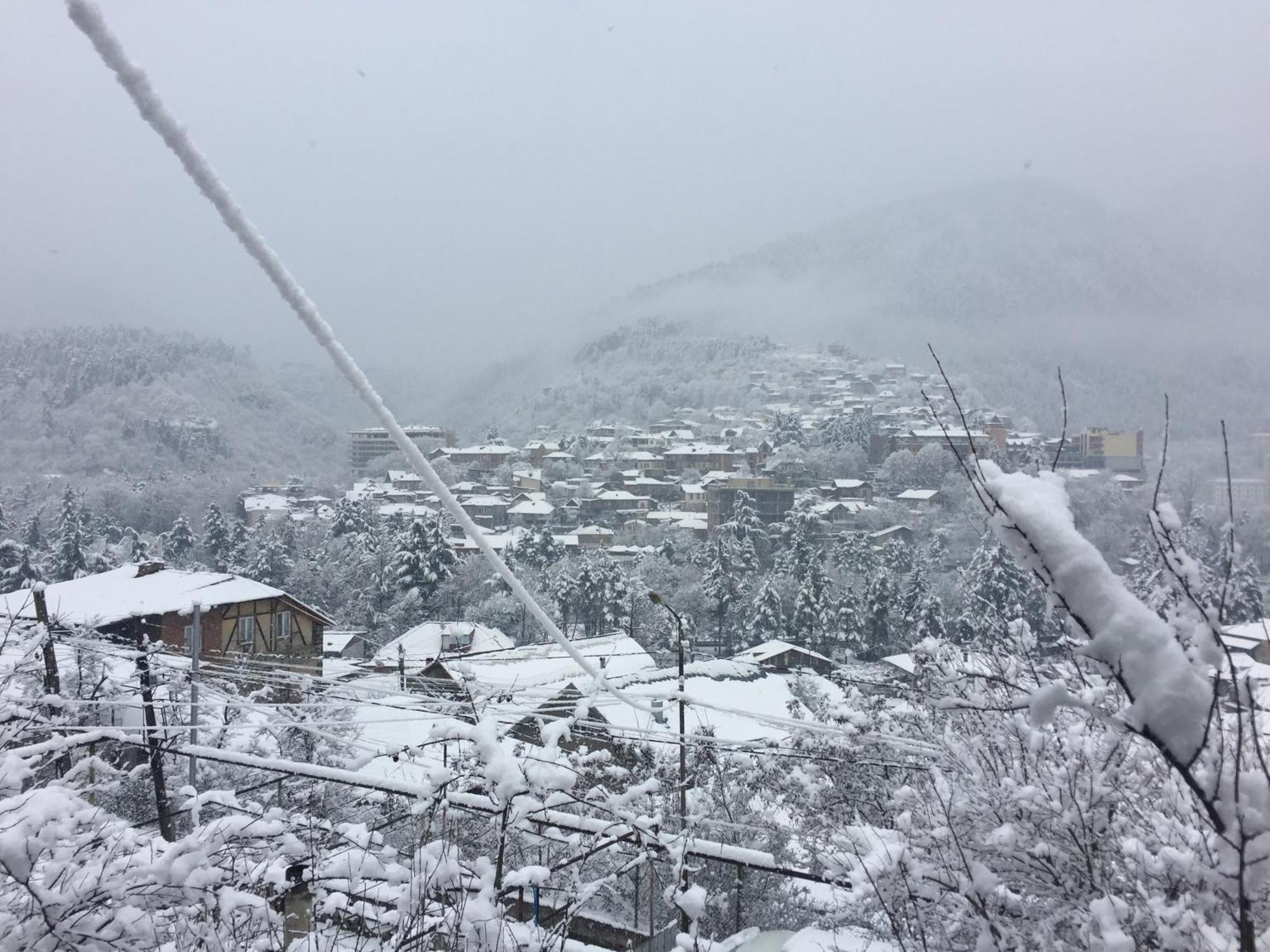 Hotel Greenland Borjomi Exterior foto